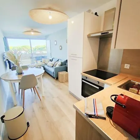 Le Cosy Les Pieds Dans L'eau Apartment Le Grau-du-Roi